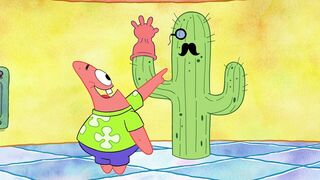 À la une, à la deux ! / La journée des Darenpointe