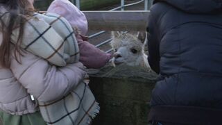 17 ans et maman UK : nouvelle génération