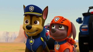Paw Patrol, la Pat'Patrouille - SAISON 1