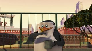 Les Pingouins de Madagascar - SAISON 2