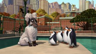 Les Pingouins de Madagascar - SAISON 2